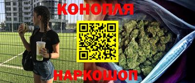 мяу мяу мука Будённовск