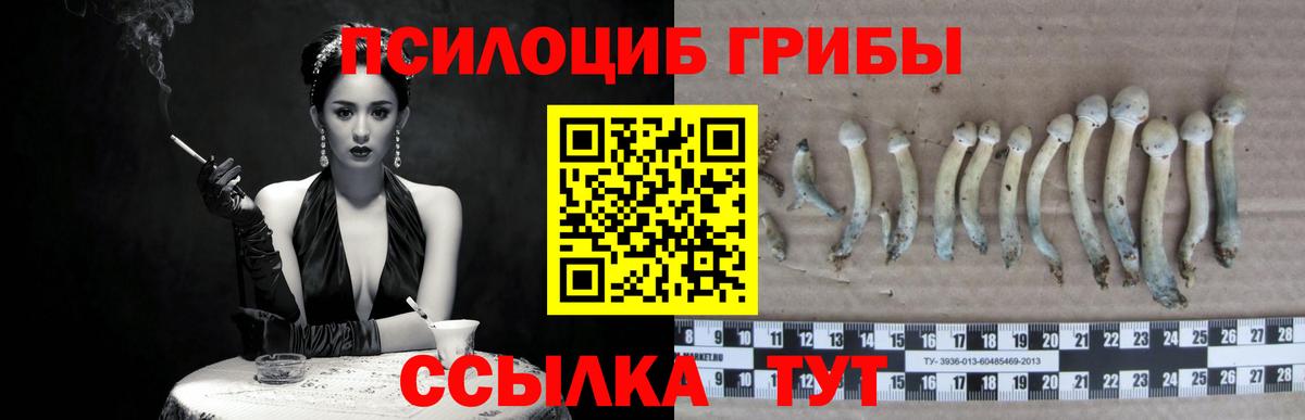 Псилоцибиновые грибы Psilocybine cubensis  Галлюциногенные грибы Psilocybe  Вход с VPN  Миасс 